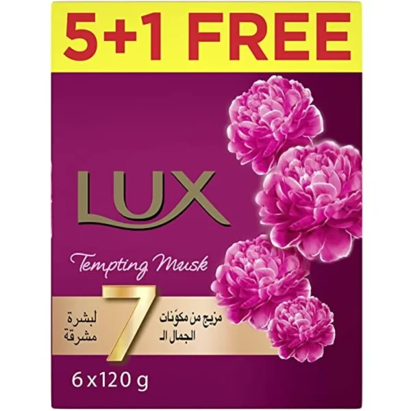 لوكس صابون قالب المسك الساحر بشرة مثاليه 5+1 120جرام